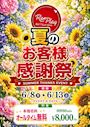 ピックアップニュース 🌻 夏のお客様感謝祭 🌻 📅 6/8(月)〜6/13(土)