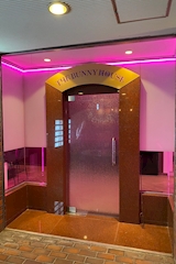 THE BUNNY HOUSE 和歌山店・バニーハウス - 新内(アロチ)のガールズバー 店舗写真