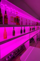 THE BUNNY HOUSE 和歌山店・バニーハウス - 新内(アロチ)のガールズバー 店舗写真