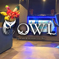 Dining Cafe & Amusement Bar OWL - 芦屋のダイニングカフェ＆バー