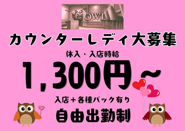 ピックアップニュース 🦉求人情報🧡