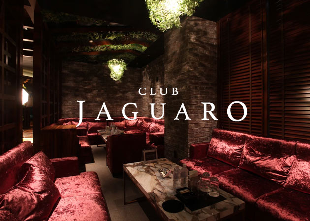 すすきののニュークラブ求人/アルバイト情報「CLUB JAGUARO」