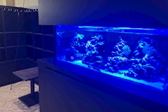 club 栞 michishirube・シオリ - JR宇都宮のクラブ/ラウンジ 店舗写真
