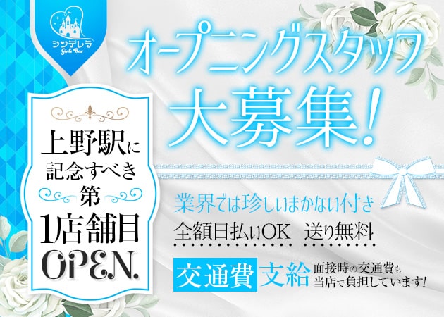 Girl’s Bar シンデレラ 職種:カウンターレディー