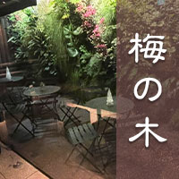 梅の木 の公式サイト画像