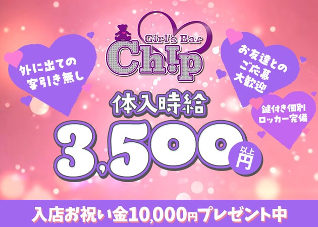 Girl's bar Chip 職種：カウンターガール