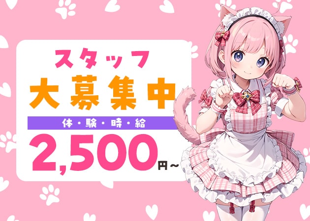 江坂ガールズバー・コンセプトカフェ&バー　ねこはじめましたの求人