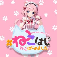 コンセプトカフェ&バー　ねこはじめました - 江坂のガールズバー