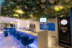 アステリア-Starry Garden- - 歌舞伎町のコンカフェ 店舗写真