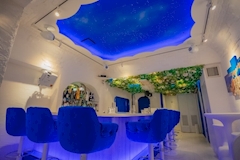アステリア-Starry Garden- - 歌舞伎町のコンカフェ 店舗写真
