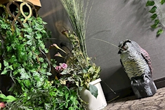 NewコンセプトClub Enchant・ニューコンセプトクラブ エンチャント - 静岡 両替町のコンカフェ 店舗写真