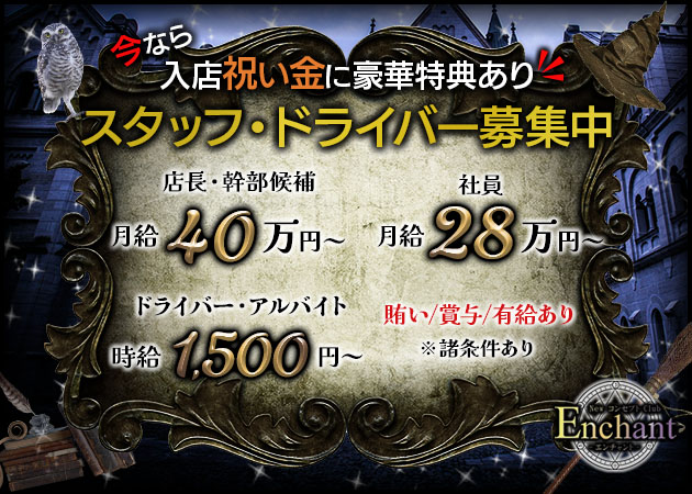 ポケパラ体入 NewコンセプトClub Enchant・ニューコンセプトクラブ エンチャント - 静岡 両替町のコンカフェ男性スタッフ募集