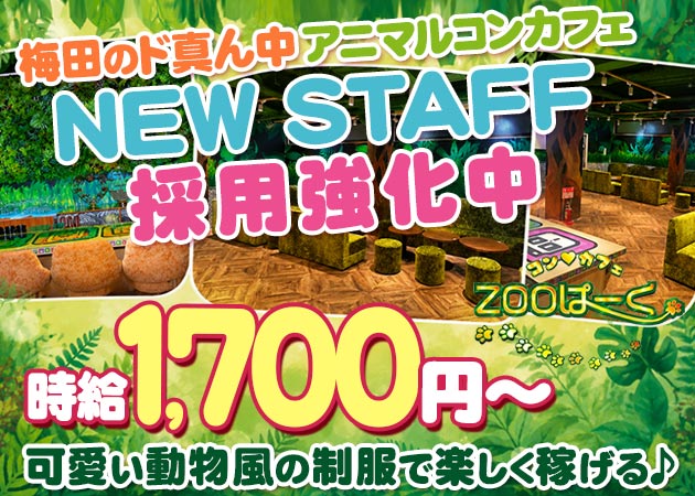 堂山町コンカフェ・Cafe&Bar ZOOぱーくの求人