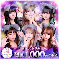 ポケパラランキング オオカミちゃんカフェ姫路店