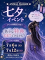 ピックアップニュース 七夕イベント🎋✨✨7月6日(月)〜12日(日)開催❣️