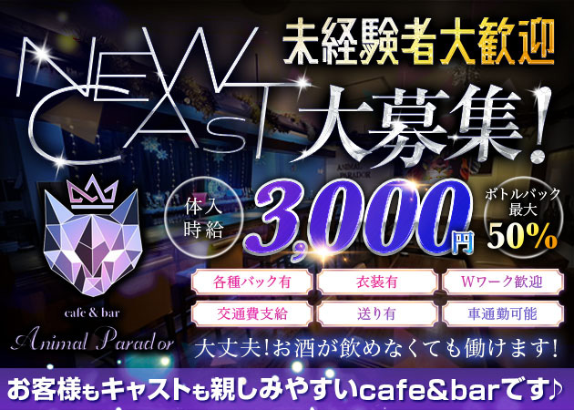 浜松ガールズバー・アニマルパラドールの求人
