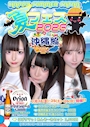 ピックアップニュース 【7/24～26】夏フェス2026～沖縄編～🏄