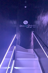 Girls Bar Do or Do・ドゥオアドゥ - 歌舞伎町のガールズバー 店舗写真