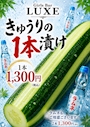 ピックアップニュース [7月] きゅうりイベント🥒