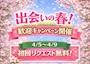 ピックアップニュース 4月🌸イベント