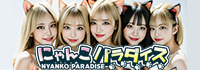 にゃんパラ ～にゃんこパラダイス～