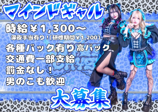 歌舞伎町コンカフェ・B4BYCR4SHの求人