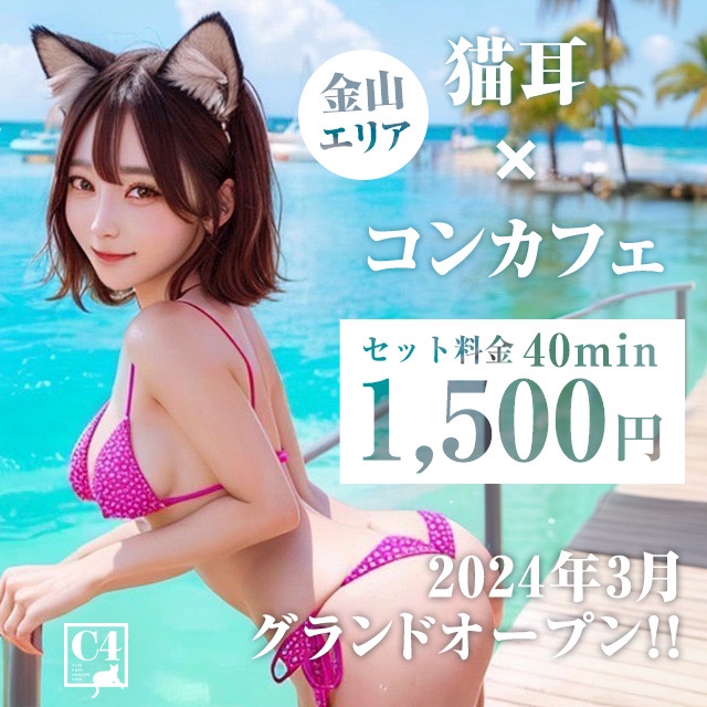 ピックアップニュース 🆕🐈🐱C4の猫ちゃんご紹介🐱🐈🆕