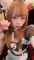 ピックアップニュース 🐈⬛8月22日(土)🐈⬛‼️12匹にゃん‼️