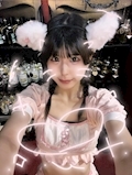 ピックアップニュース 🐈‍⬛８月２３日(日)🐈‍⬛‼️９匹にゃん‼️