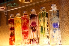 猫耳コンカフェ C4・シーフォー - 名古屋 金山のコンカフェ 店舗写真