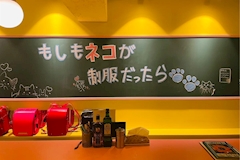 もしもネコが制服だったら・モシモネコガセイフクダッタラ - 中目黒のガールズバー 店舗写真