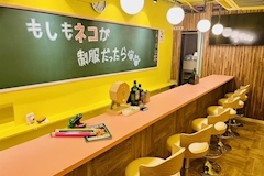 もしもネコが制服だったら・モシモネコガセイフクダッタラ - 中目黒のガールズバー 店舗写真