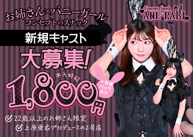 ポケパラ体入 Concept Snack　ANE-RABI・コンセプトスナック アネラビ - 秋葉原のパブ/スナック女性キャスト募集