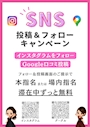 ピックアップニュース 🕊️✨SNS投稿＆フォローキャンペーン✨🕊️
