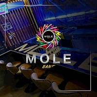 店舗写真 Girl's Bar MOLE・モール - 八幡宿のガールズバー