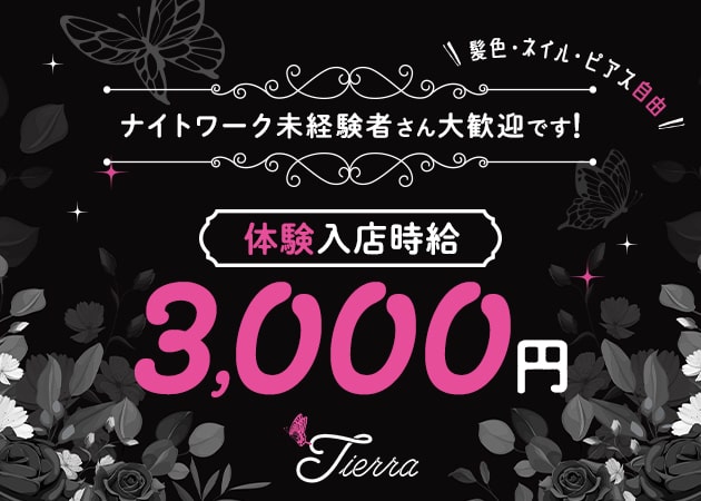ポケパラ体入 Tierra・ティエラ - 古河のパブ/スナック女性キャスト募集