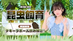 🌳昆虫飼育🌳