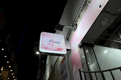Mine・マイン - 渋谷のガールズバー 店舗写真