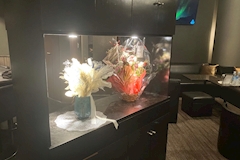 LOUNGE IBIS・ラウンジアイビス - JR宇都宮のキャバクラ 店舗写真