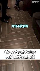 ピックアップニュース TikTok始めました‼️