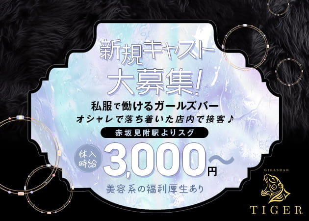 ポケパラ体入 TIGER・ティガー - 赤坂・赤坂見附のガールズバー女性キャスト募集