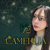 CAMELLIA - 岐阜 柳ヶ瀬のガールズバー