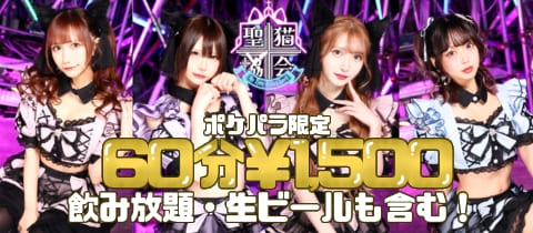 聖猫教会-ふぇりすきょうかい- - 歌舞伎町のコンカフェ