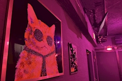 GIRL'S BAR Bink's・ビンクス - 市川のガールズバー 店舗写真
