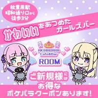 店舗写真 Cafe&Bar ROOM・ルーム - 秋葉原のガールズバー