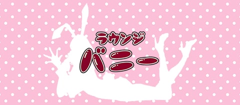GIRL'S LOUNGE　バニー - 綾瀬のガールズバー