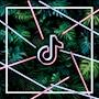 ピックアップニュース 💚 Garden・TikTok 💚