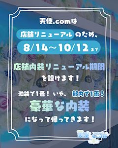 ✨内装リニューアルのため合同営業中🪽