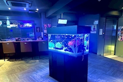 R-Queen・アールクイーン - 浅草のガールズバー 店舗写真