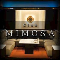 CLUB MIMOSA